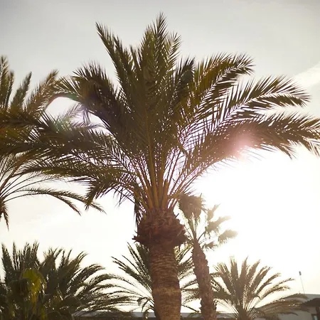Otel Secrets Lanzarote & - Adults Only Puerto Calero